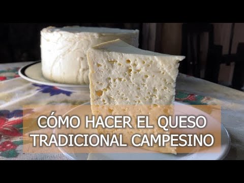 Cómo hacer queso tradicional campesino ancestral, con leche pura de vaca, cuajo, amor y cariño.