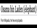 Unusual Wikipedia Articles