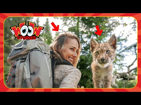❤️A Deep Friendship Between The Girl And The Lynx After Saving Her From The Trap | Wild Animal