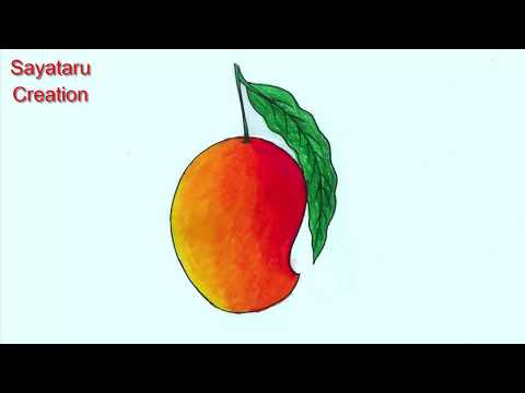 How to draw a Mango, Mango drawing