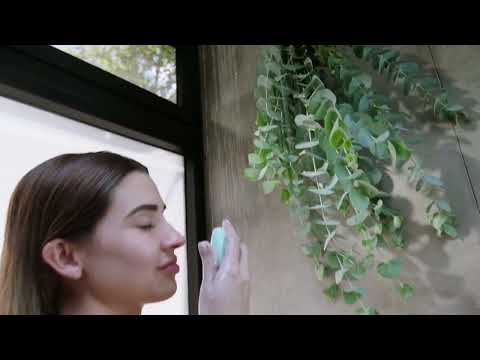 Transforma tu rutina de baño con Venza