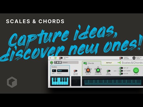 Scales & Chords: Capture Ideas, Discover New Ones!