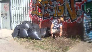 The Brendan Hines-Miss New York lyrics