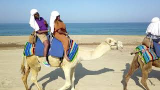 Los Cabo Camel Ride