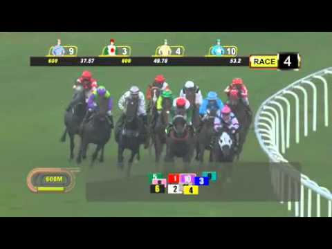 Singapore Horse 17 January race 4 - h3asia.com