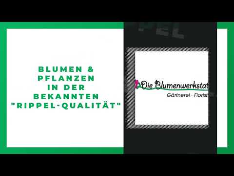 Die Blumenwerkstatt Wilhelm Rippel YouTube-Vdeominiatur 7