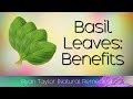Basil Leaves: Benefits and Uses