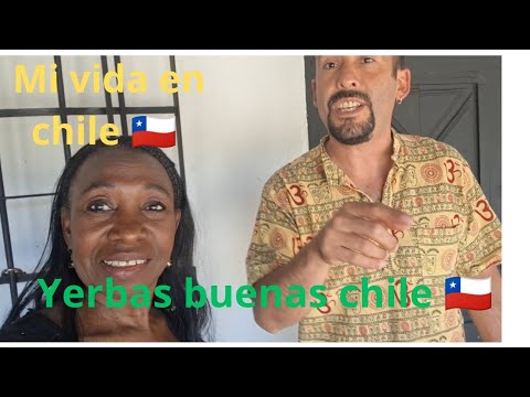 Yerbas buenas y su historia 