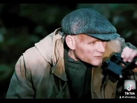 The Forgotten Weapon: Soviet Anti-Tank Dogs of WWII