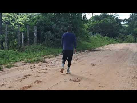Caminhada de 10 quilômetros na zona rural.( os gados nelorios) cidade catu Bahia. 