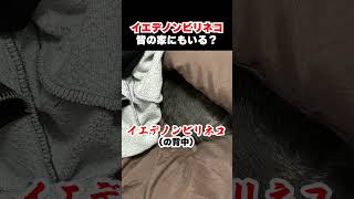 - イエデノンビリネコ、みんなの家にもいる? #shorts #春雨麗女 #あおぎり高校
