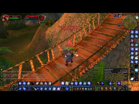 WoW enahncement shaman vs Paladin Classic Vanilla