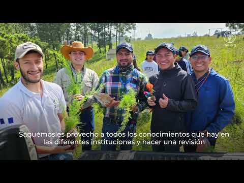 Integración de comunidades y Pueblos Indígenas en el Monitoreo Forestal de Guatemala
