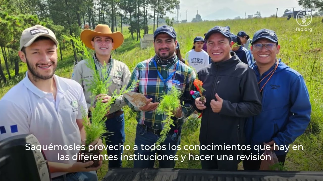 Integración de comunidades y Pueblos Indígenas en el Monitoreo Forestal de Guatemala