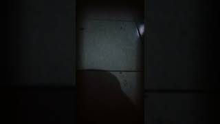 Download lagu jujur saja ku tak mampu mp3 Download lagu jujur saja ku tak mampu mp3