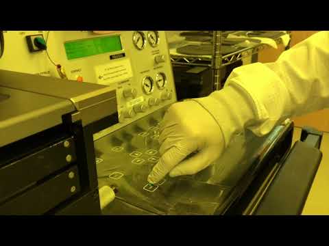 Micro-fabrication of PDMS Monolayer Devices- Photolithography- Boston University - Oliveira Lab 2021