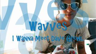 Wavves-I Wanna Meet Dave Grohl