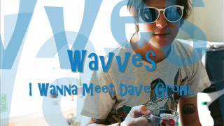 Wavves-I Wanna Meet Dave Grohl