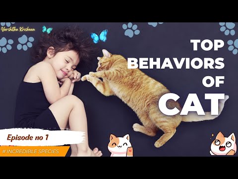 The Fascinating Behaviors of Cats" II INCREDIBLE SPECIES ON WORLD.II part-1