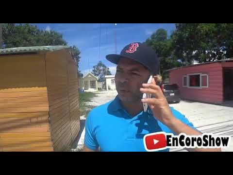 Costumbres de dominicano bultero.