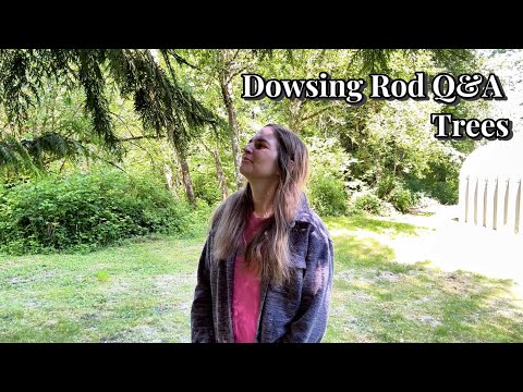 Dowsing Rod Q&A | Trees