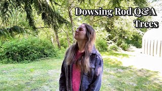 Dowsing Rod Q&A | Trees