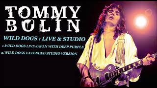 TOMMY BOLIN - WILD DOGS ( LIVE &amp; STUDIO VERSIONS )