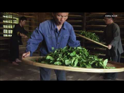 Tea: The Story of a Leaf Trailer