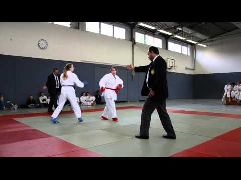 Vereinsmeisterschaft 2014: Kumite Damen ab 18 Jahre