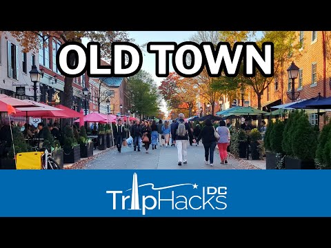 Old Town City Guide | Vibepedia