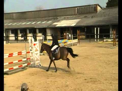 ty boy de l'aumone et Julien Renard en grand prix 120 à sees