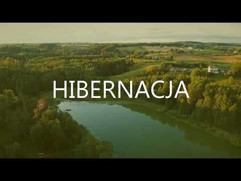 Krychol - Hibernacja