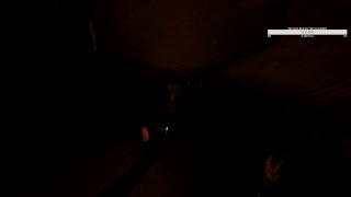 Hardly Amused Live Stream