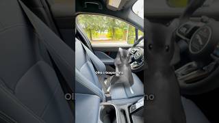 ANDEI EM UM CARRO QUE DIRIGE SOZINHO E DEU MUITO RUIM! 😥