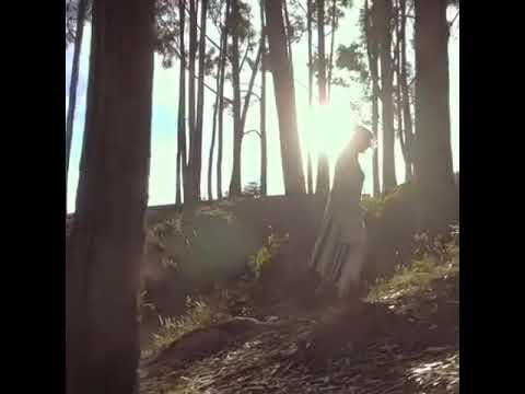 Nano Morris  AmartePorSiempre