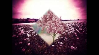 Pink Fields -Neon Hitch