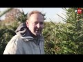 Op het Werk: Cor Lubbers (Kerstbomenkweker)