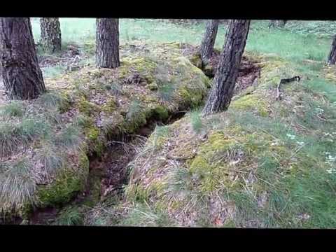 WW2 Relikte Teil 38 : unberührte Schützengräben