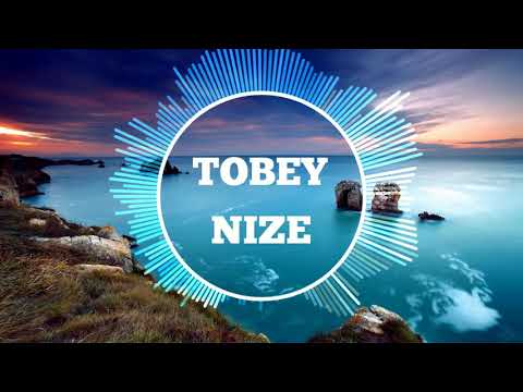 Apache 207 - Fame (TOBEY NIZE Remix)