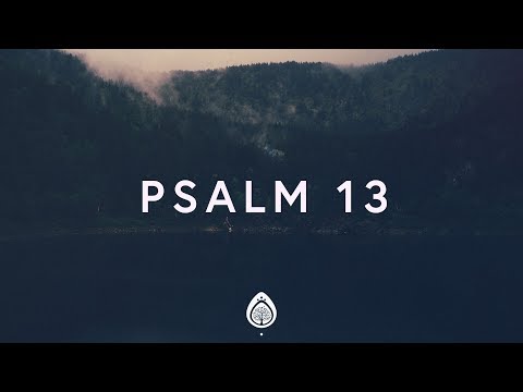 Alisa Turner ~ Psalm 13 (Lyrics)