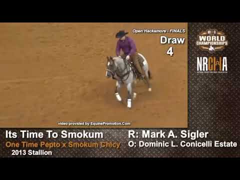 Its Time To Smokum 2019 NRCHA world show Hackamore finals