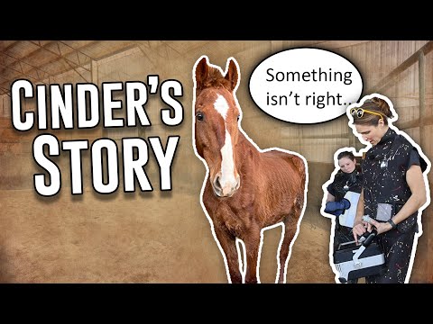 The Reality of Rescue | Cinder's Story