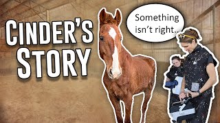 The Reality of Rescue | Cinder's Story