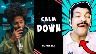 Calm Down Remix ft Pala Saji 😎  Dialogue With B