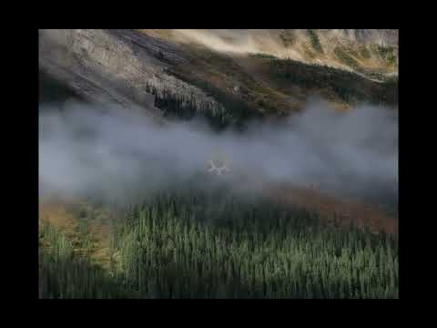 Totalement Sublime - Korok