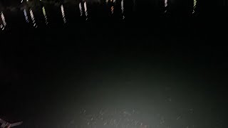 【灯火フィッシング】夜釣りでアジを釣ります！【サビキ釣り】