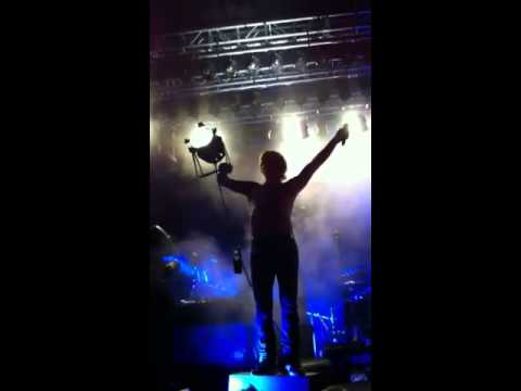 DumDum Boys- Splitter Pine