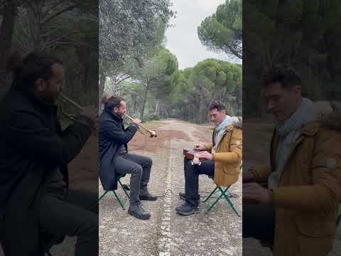 Weissenborn Guitar& Trompet- Lullaby Song