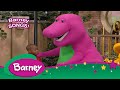 Barney SONGS What Should I Do