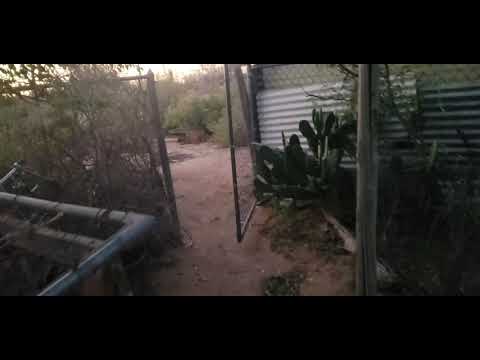 Quick accuracy test of crusty 22lr ammo